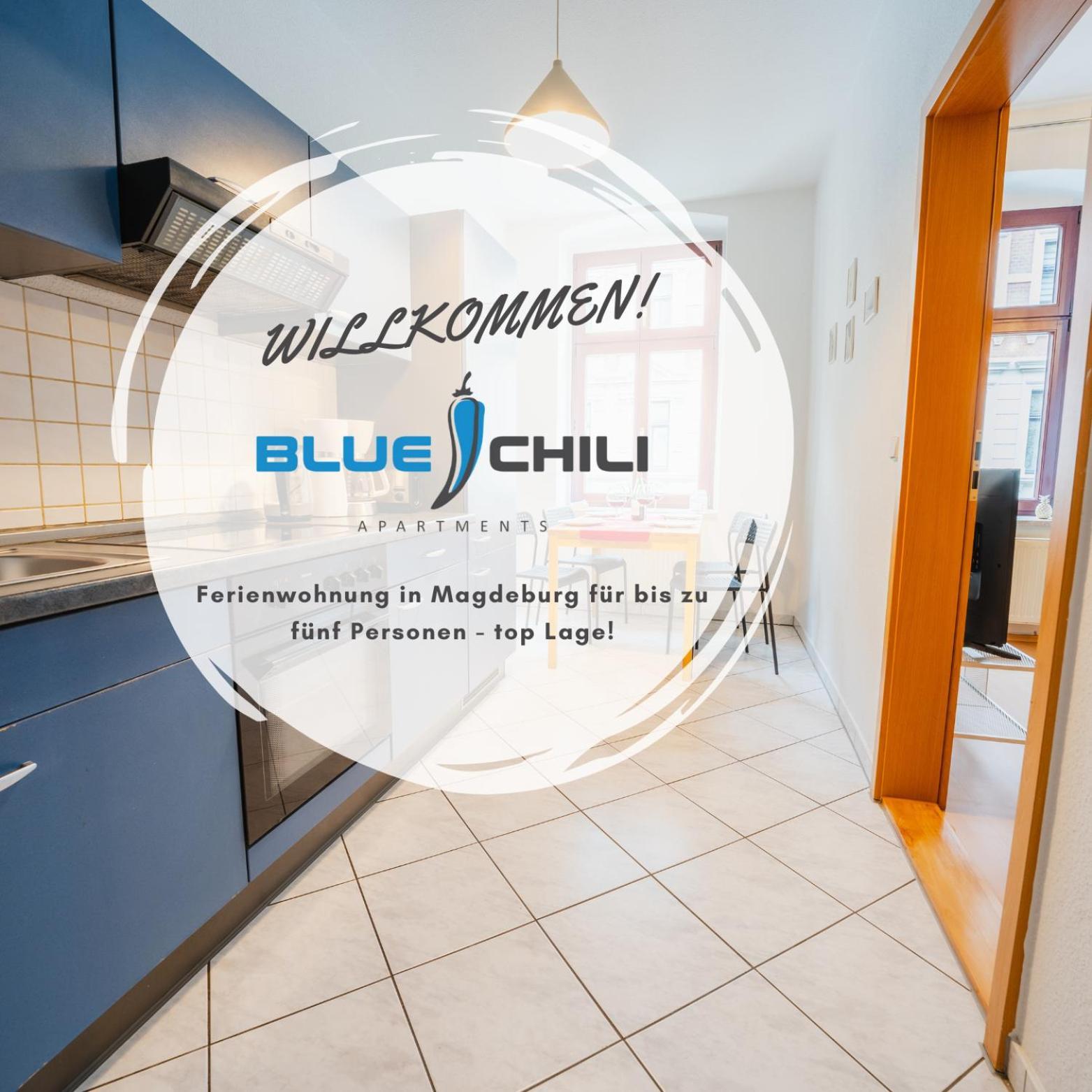 Blue Chili 08 - Magdeburg 2-Zimmer Altbau, Wi-Fi, 5 Pax Екстериор снимка